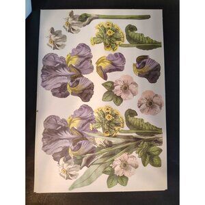 Anna Griffin Die Cut Paper Flowers 46 Sheets Sunflower Iris Carnation Scrapbook